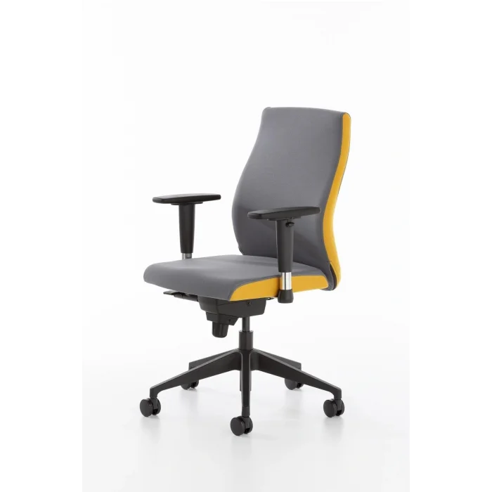 Genel Ürün Havana Çalışma Koltuğu, Orta Sırt, Plastik Ayak, Antrasit & Sarı