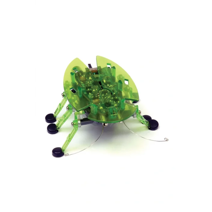 Genel Ürün Böcek - Yeşil