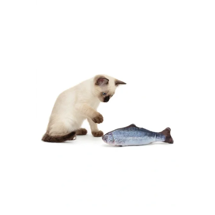 Genel Ürün Büyük Boy Hareketli Bez Balık Kedi Oyuncağı Sarjlı Kedi Otu Dolgulu