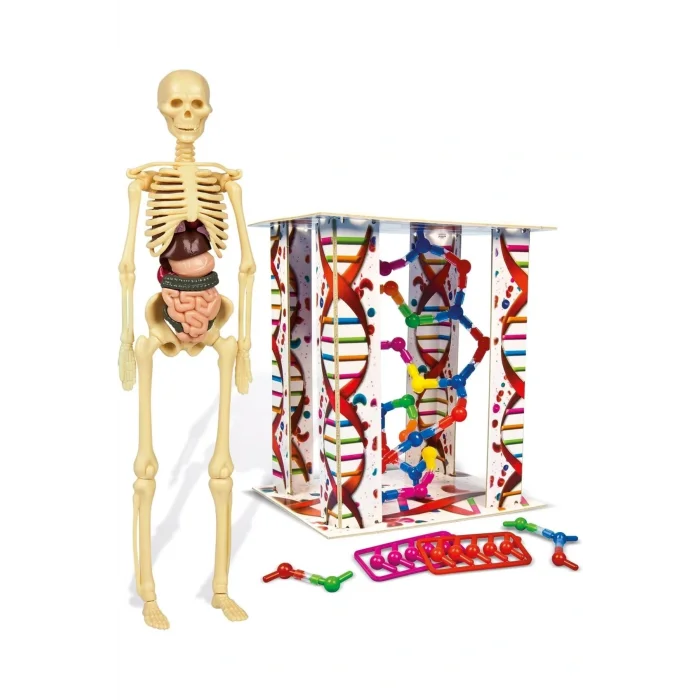 Genel Ürün 64297 İlk Keşiflerim İnsan Anatomisi