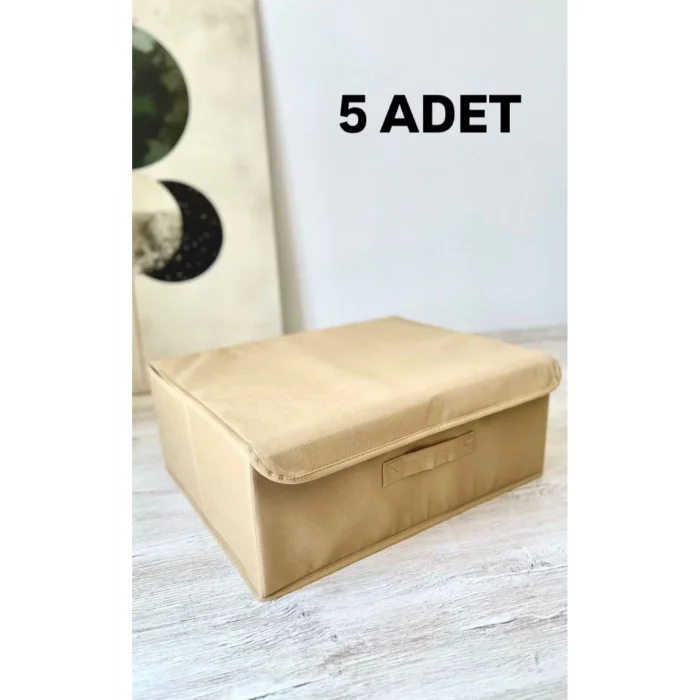 Oyuncak 5 Adet Bej Çok Amaçlı Dolap Içi Çamaşır Oyuncak Düzenleyici Kapaklı Baza Altı Kutu Hurç 50x40x19 Cm