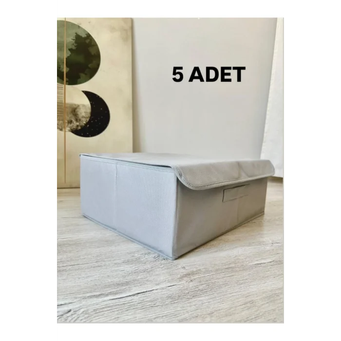 Oyuncak 5 Adet Gri Çok Amaçlı Dolap Içi Çamaşır Oyuncak Düzenleyici Kapaklı Baza Altı Kutu Hurç 50x40x19 Cm
