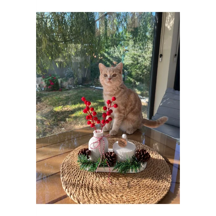 Genel Ürün Kış Temalı Dekoratif El Yapımı Hediye Seti 3 Parça,mumluk,vazo Ve Tepsi ,kozalak Ve Çam, Ev Hediyesi