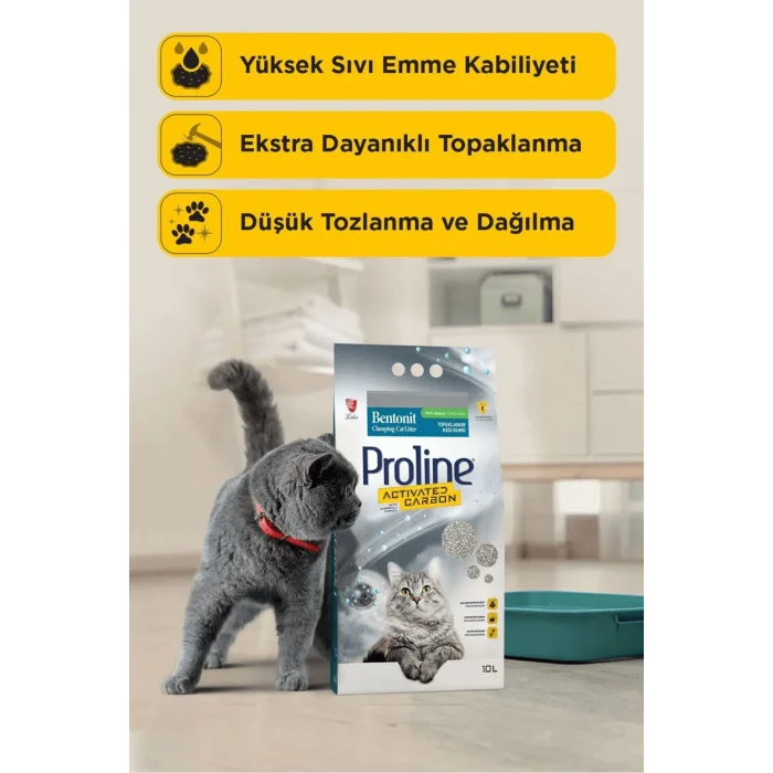 Genel Ürün Aktif Karbonlu Topaklanan Kedi Kumu 10 Lt X 2 Adet
