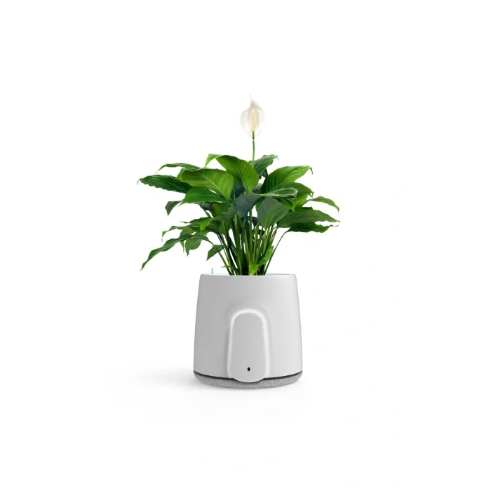 Genel Ürün Natede Saksı Tipi Hava Temizleyici