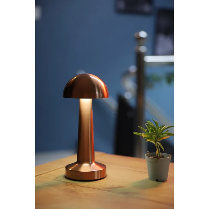 Lamba Ct 8430 Şarjlı 3 Kademe Işıklı Masa Lambası.