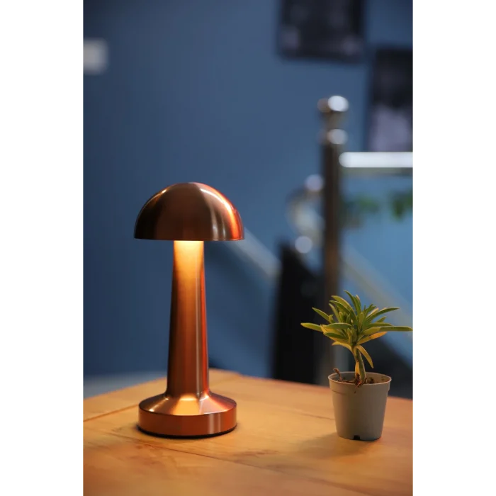 Lamba Ct 8430 Şarjlı 3 Kademe Işıklı Masa Lambası.