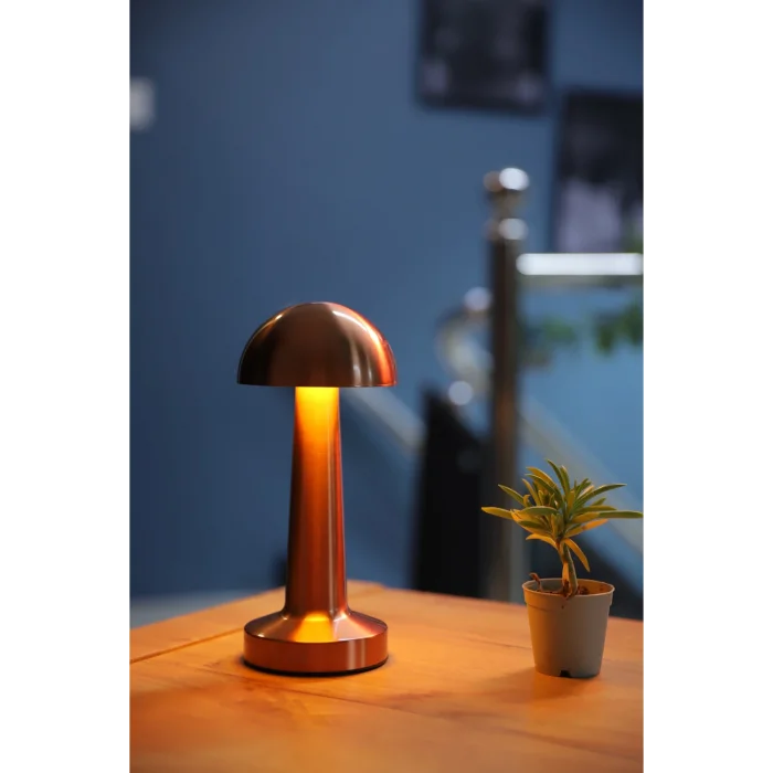 Lamba Ct 8430 Şarjlı 3 Kademe Işıklı Masa Lambası.