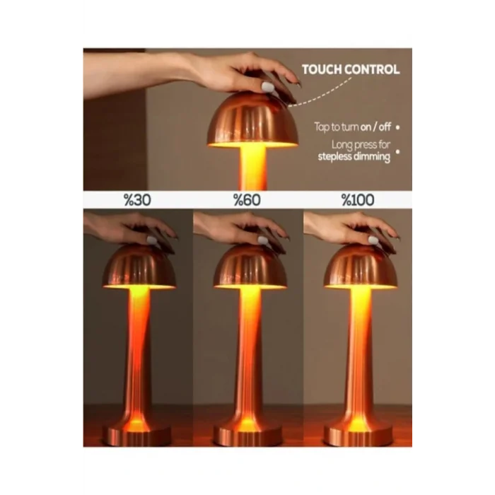 Lamba 3 Renk Yanma Modlu Mantar BAKIR Renk Masa Lambası 1 ADET CT-8430