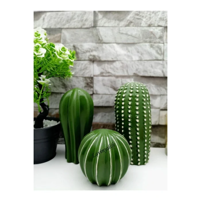 Biblo Dekoratif 3 lü Kaktüs Biblo