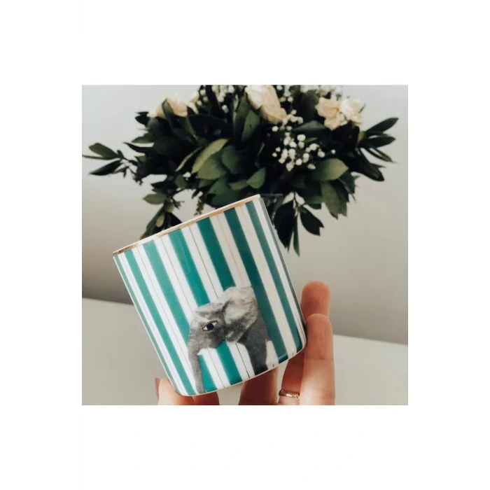 Genel Ürün Wild Life Elephant Bardak 230 Cc (1 Adet)