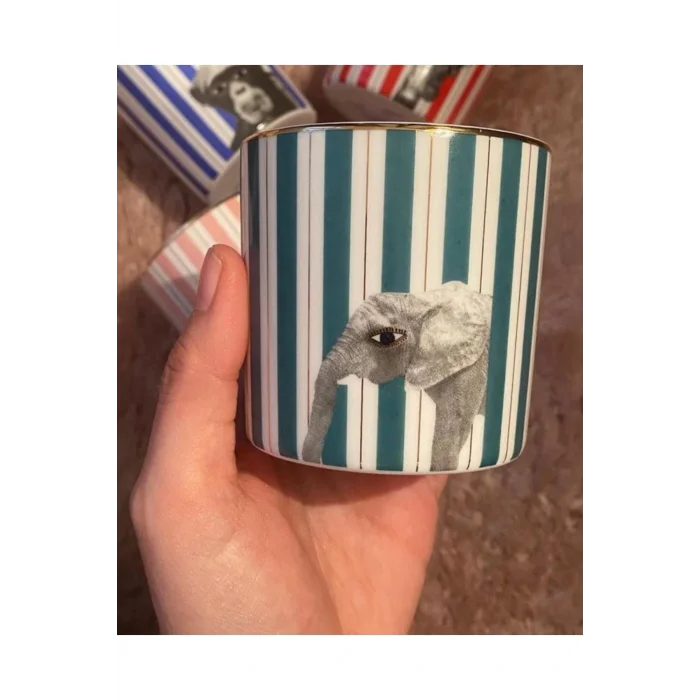 Genel Ürün Wild Life Elephant Bardak 230 Cc (1 Adet)