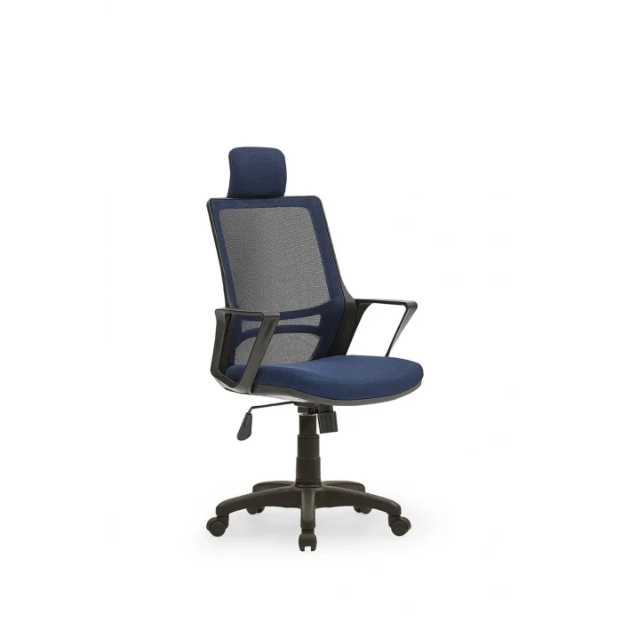 Genel Ürün Arya3 Bilgisayar Koltuğu Ofis Müdür Büro Çalışma Sandalyesi Lacivert Siyah Renk Plastik Ayaklı