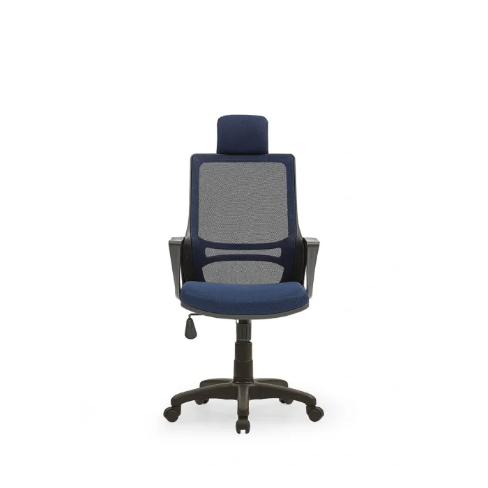 Genel Ürün Arya3 Bilgisayar Koltuğu Ofis Müdür Büro Çalışma Sandalyesi Lacivert Siyah Renk Plastik Ayaklı