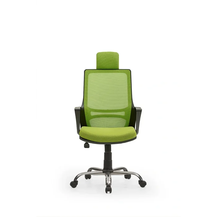 Genel Ürün Arya2 Bilgisayar Koltuğu - Ofis - Müdür - Büro - Çalışma Sandalyesi Yeşil Renk Krom Ayaklı