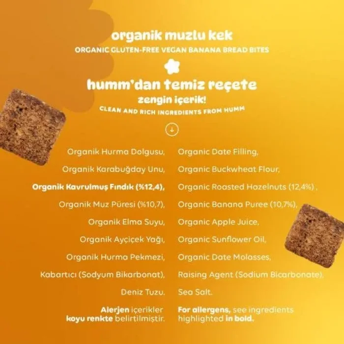 BUĞZ Humm Organik Glutensiz Vegan Muzlu Kek