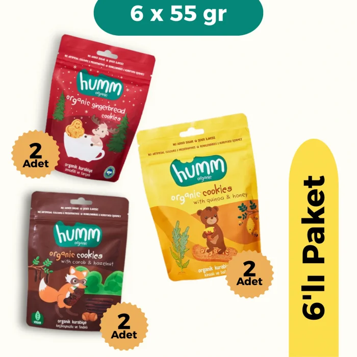 BUĞZ Humm Organik Kurabiye 6lı Set (Keçiboynuzlu ve Fındıklı & Zencefilli ve Tarçınlı & Ballı ve Kinoalı)