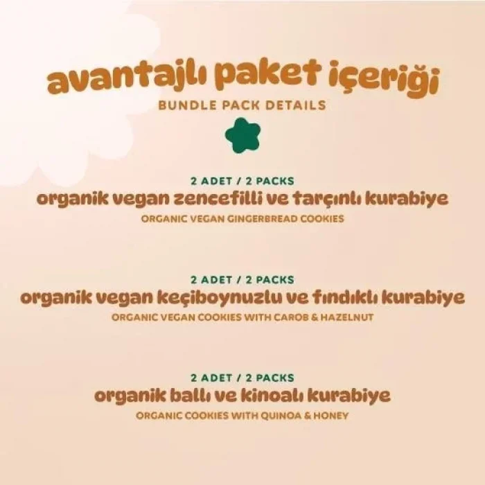 BUĞZ Humm Organik Kurabiye 6lı Set (Keçiboynuzlu ve Fındıklı & Zencefilli ve Tarçınlı & Ballı ve Kinoalı)