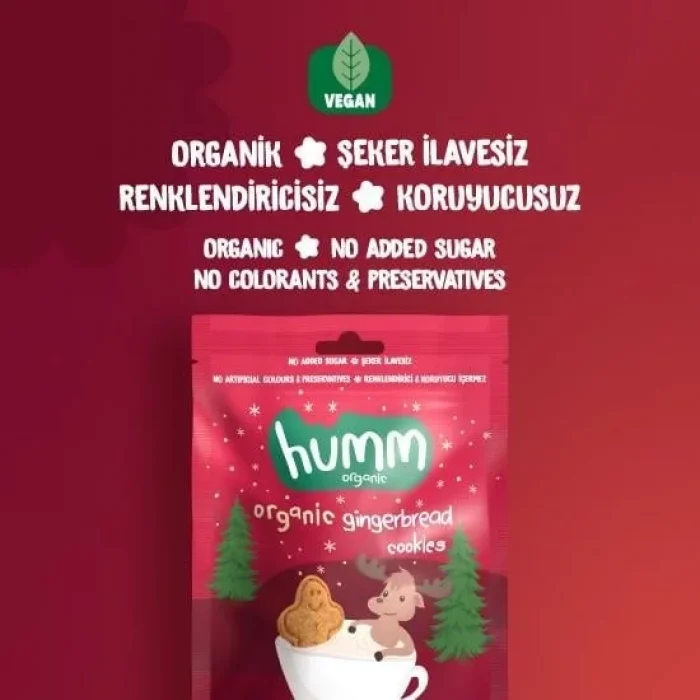 BUĞZ Humm Organik Vegan Zencefilli ve Tarçınlı Kurabiye