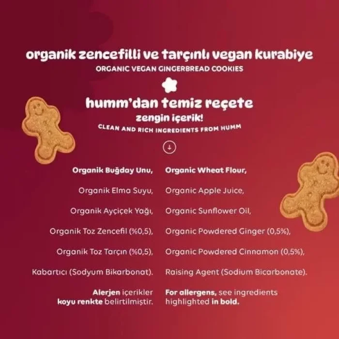 BUĞZ Humm Organik Vegan Zencefilli ve Tarçınlı Kurabiye