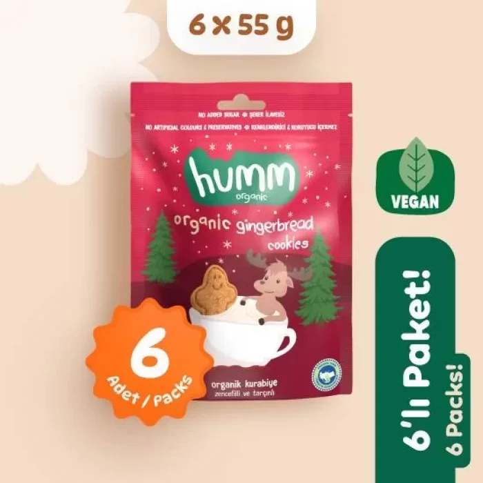 BUĞZ Humm Organik Vegan Zencefilli ve Tarçınlı Kurabiye 6lı Set