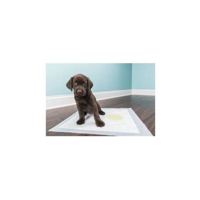 Köpek Tuvalet Çiş Eğitim Pedi 60x90 cm ( 10 Adet )