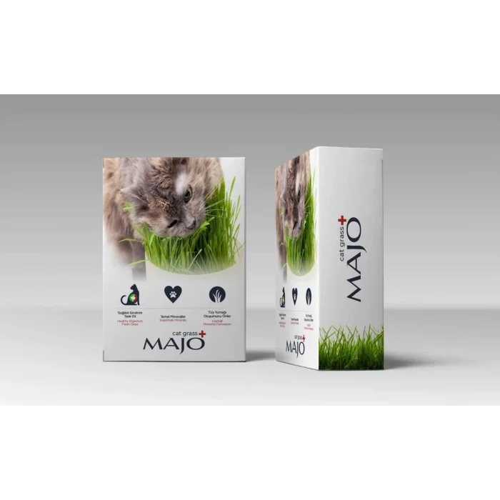 Majo Üç Kullanımlık Naturel Kedi Çimi Yedek Tohumlu