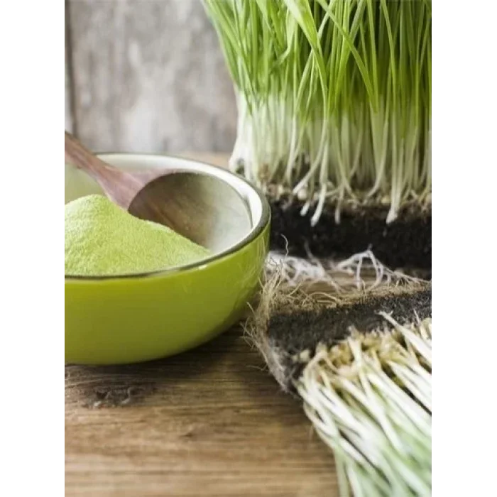 BUĞZ Naturiga Organik Buğday Çimi Tozu (100gr)