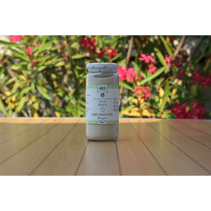 BUĞZ OG Natural Organik Yulaflı Bebek Muhallebisi Karışımı +6 Ay (300 gr)