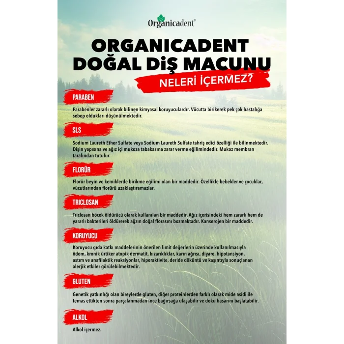 BUĞZ Organicadent Üçlü Koruma Doğal Diş Macunu (75 ml)