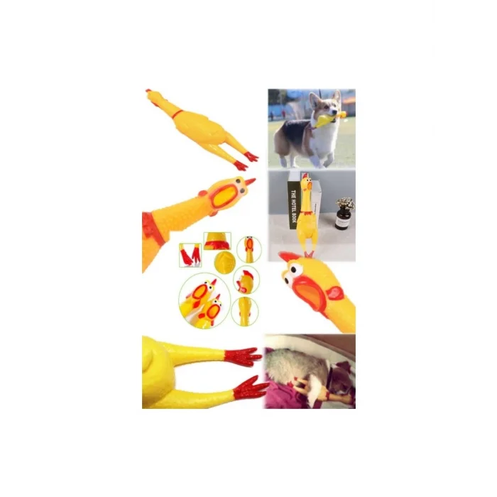 Sesli Horoz Eğlenceli Köpek ve Kediler İçin Sesli Öten Horoz Oyuncak 28 cm