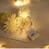 BUĞZ 2m Pilli Peri Led Gün Işığı
