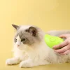 BUĞZ Buharlı Kedi Tarağı
