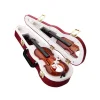 BUĞZ Gitar Müzik Kutusu Alk1105