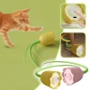 BUĞZ Hareketli Çiçek Kedi Oyuncağı