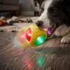 BUĞZ Işıklı Köpek Isırma Topu - Sesli Oyuncak
