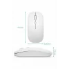 BUĞZ Kablosuz Mouse Fare Şarjlı Bluetooth Wireless Çift Modlu Sessiz ( BUĞZ )