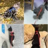 BUĞZ Kedi Boyun ve Göğüs Tasması