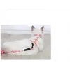 BUĞZ Kedi Gezdirme Göğüs Tasması