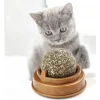 BUĞZ Kedi Nanesi Oyun Topu