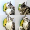 BUĞZ Silikon Kaşıyıcılı Kedi Otu