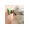 BUĞZ Yengeç Kedi Otu Oyun Topu