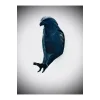 Lamba Kartal Şeklinde 3d Baskı Ile Üretilmiş Özel Üretim Dekoratif Gece Lambası/aplik