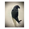 Lamba Kartal Şeklinde 3d Baskı Ile Üretilmiş Özel Üretim Dekoratif Gece Lambası/aplik