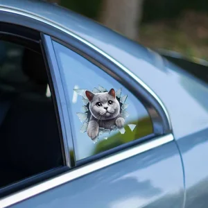 BUĞZ Fulcar British Araç Stickerı