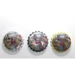 BUĞZ İstanbul Temalı Magnet Alk2232
