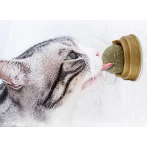 BUĞZ Kedi Otu Oyun Topu