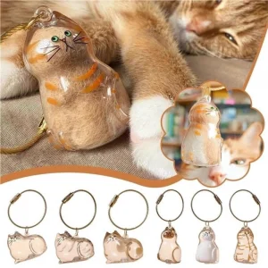 BUĞZ Kedi Şeffaf Anı Anahtarlığı - Kedi Figürlü - Karışık Model