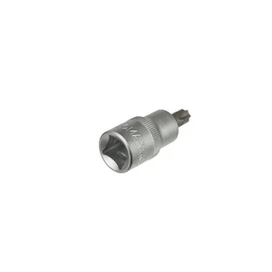 BUĞZ Lokmalı () Torx Bits Uç - T60 (10 Adet)