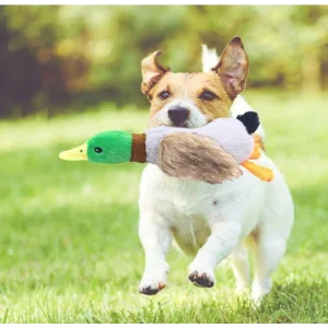 BUĞZ Sesli Ördek Şekilli Peluş Köpek Oyuncağı